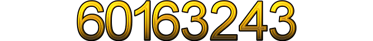 Number 60163243