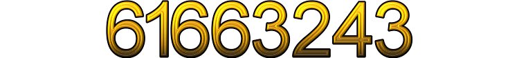 Number 61663243