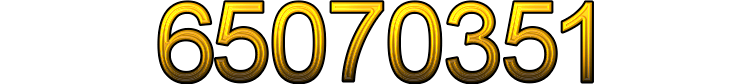 Number 65070351