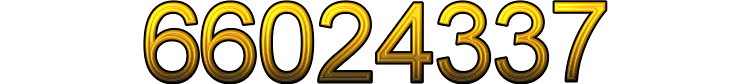 Number 66024337