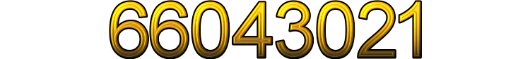 Number 66043021