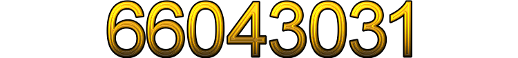 Number 66043031