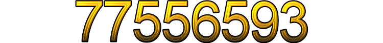 Number 77556593 Number 77556593