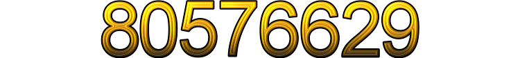 Number 80576629