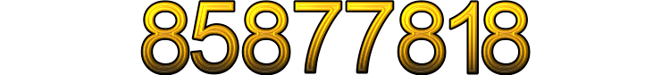 Number 85877818