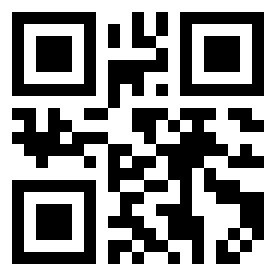 Numeris 11040120 QR kodas