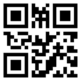 Numeris 13252825 QR kodas