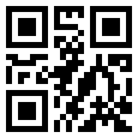 Numeris 333333 QR kodas