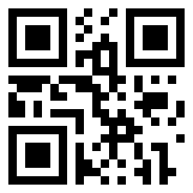 Numeris 41660382 QR kodas