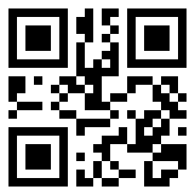 Number 100111 QR code