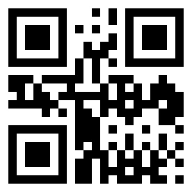 Number 1009 QR code