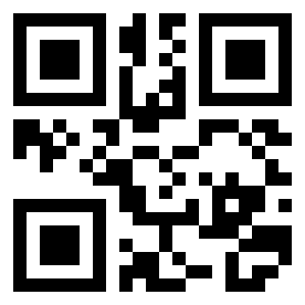 Number 110010 QR code