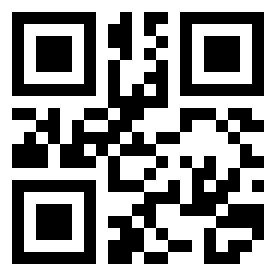 Number 110011 QR code