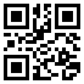 Number 11009 QR code