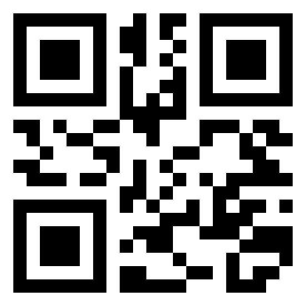 Number 110101 QR code