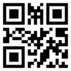 Number 11040123 QR code