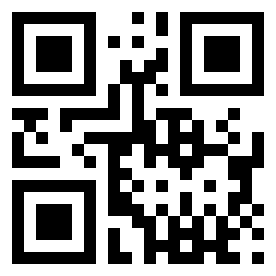 Number 113 QR code