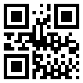 Number 1251 QR code