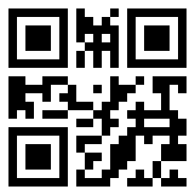 Number 1295029 QR code