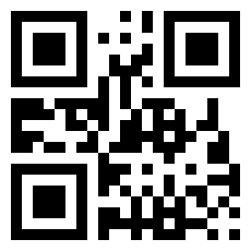 Number 20185194 QR code