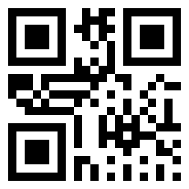 Number 20217 QR code