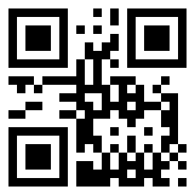 Number 205 QR code