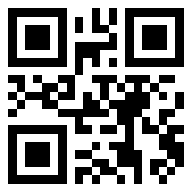 Number 213 QR code