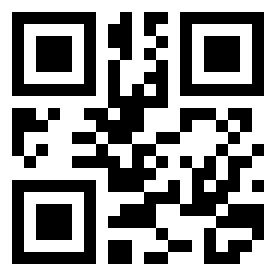 Number 220019 QR code