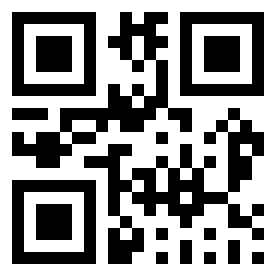 Number 244051 QR code