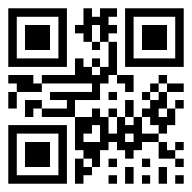 Number 250046 QR code