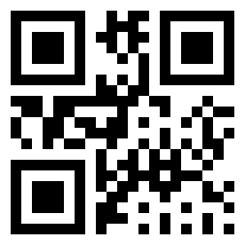 Number 250048 QR code