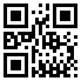 Number 251 QR code