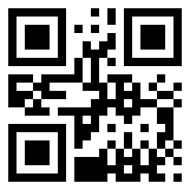 Number 255 QR code