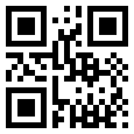 Number 256 QR code