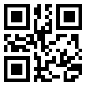 Number 296969 QR code