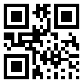 Number 30041 QR code