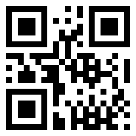 Number 307 QR code