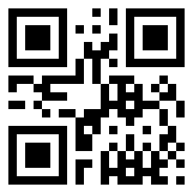 Number 316 QR code
