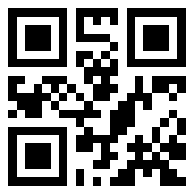 Number 389344 QR code