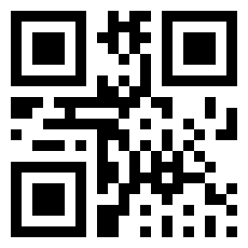 Number 419904 QR code