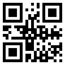 Number 49510981 QR code