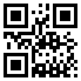 Number 509 QR code