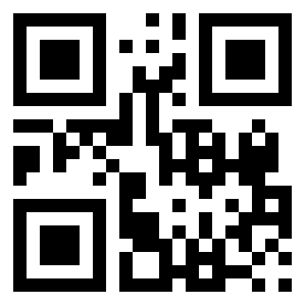 Number 65210322 QR code