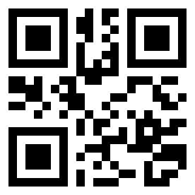 Number 93313 QR code