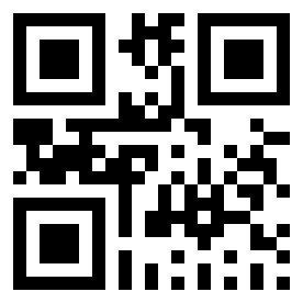 Number 970298 QR code