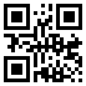 Номер 13236644 QR-код