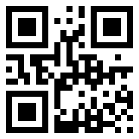 Номер 13333330 QR-код