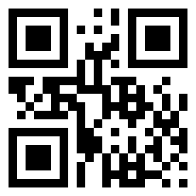 Номер 24106206 QR-код