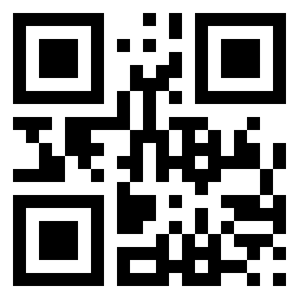 Номер 24110553 QR-код