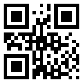 Номер 25313606 QR-код